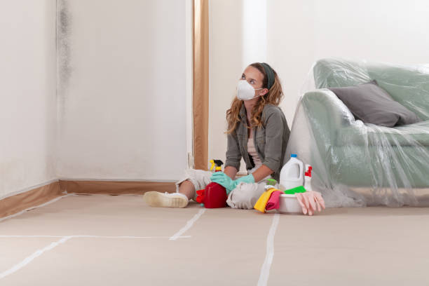 Reliable Mold Inspection contractor in Forest Hill, MD by WQB Mold Removal